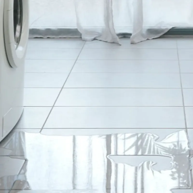 Appliance Leak Cleanup in Portland, MI