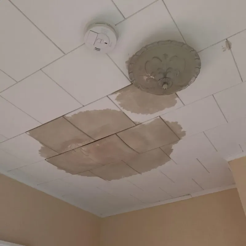 Ceiling Water Damage Repair in Portland, MI