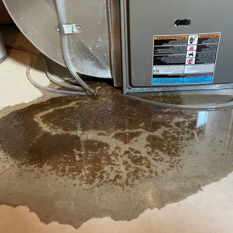 Pipe Burst and Leak Restoration in Portland, MI