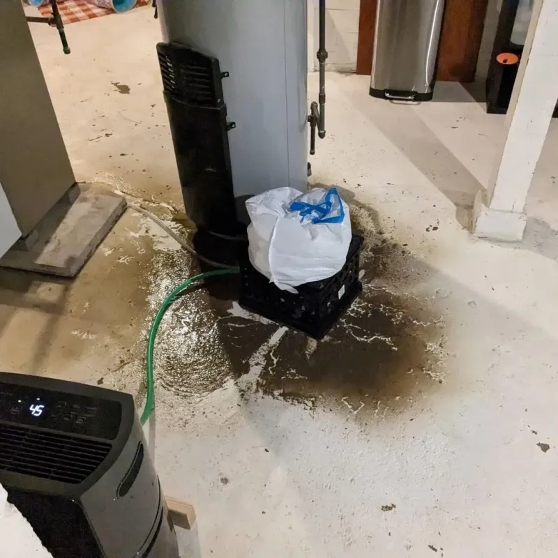 Sewage Backup Cleanup Service in Portland, MI